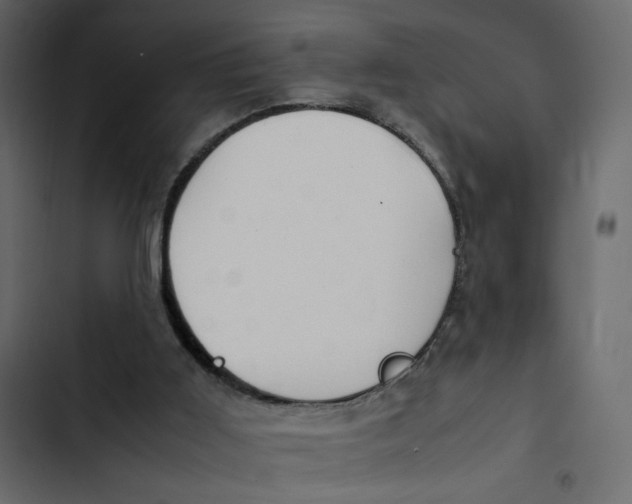 X0000103330011200809261211