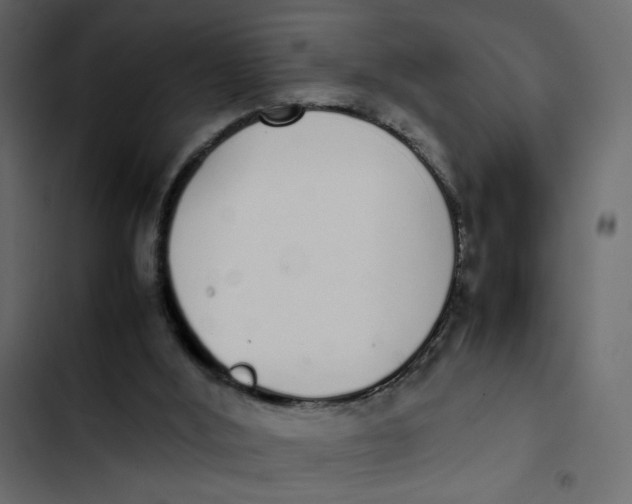 X0000103330012200809261211