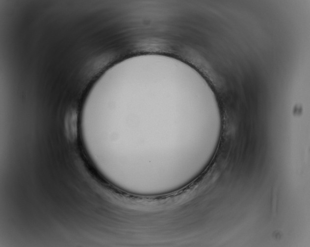 X0000103330014200809261211