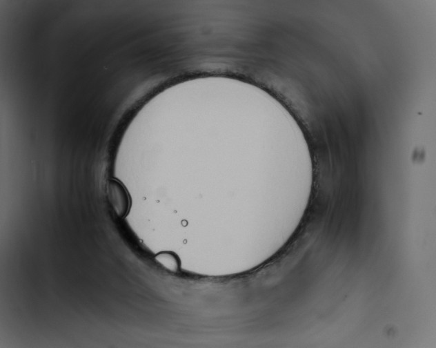 X0000103330016200809261211