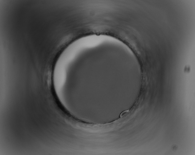 X0000103330019200809261211