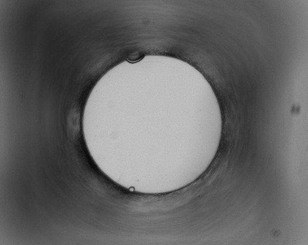 X0000103330021200809261211