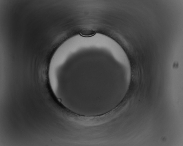 X0000103330023200809261211