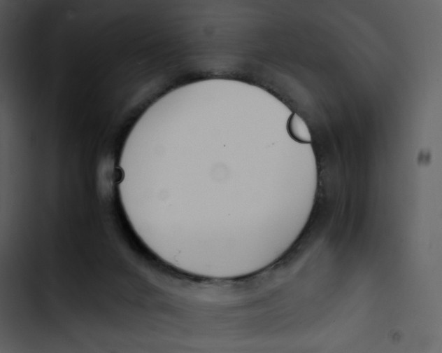 X0000103330024200809261211