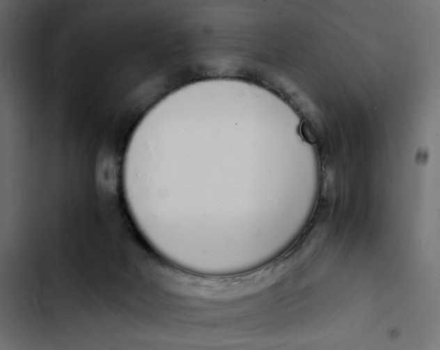 X0000103330026200809261211