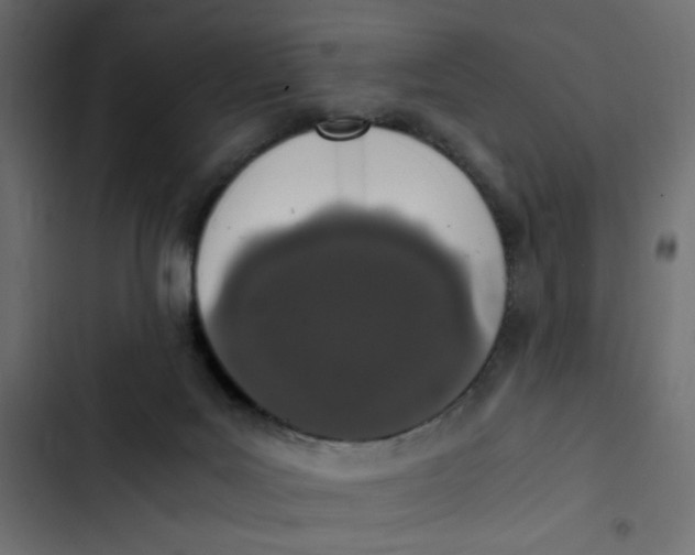 X0000103330027200809261211