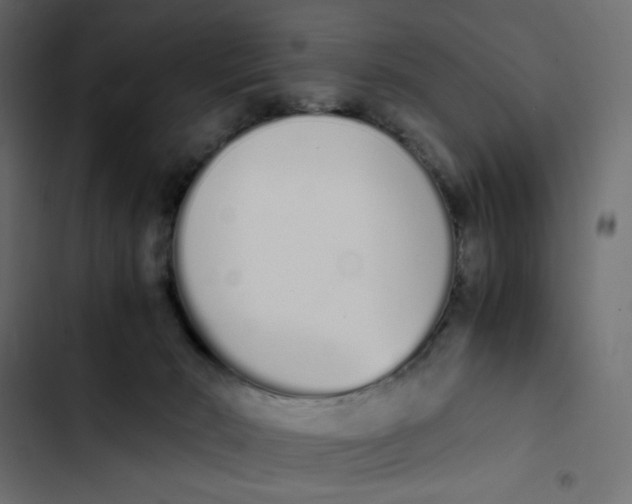 X0000103330030200809261211