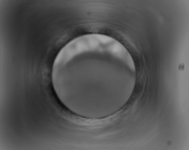 X0000103330031200809261211