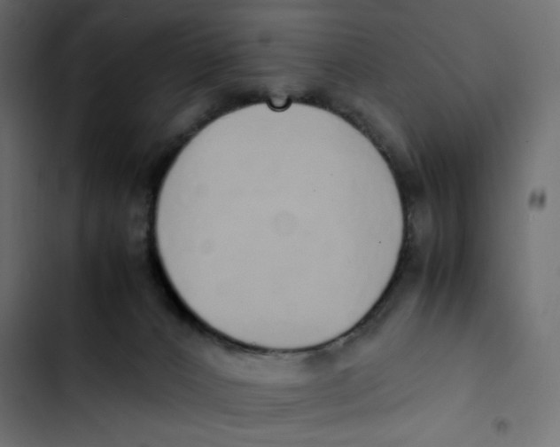 X0000103330032200809261211