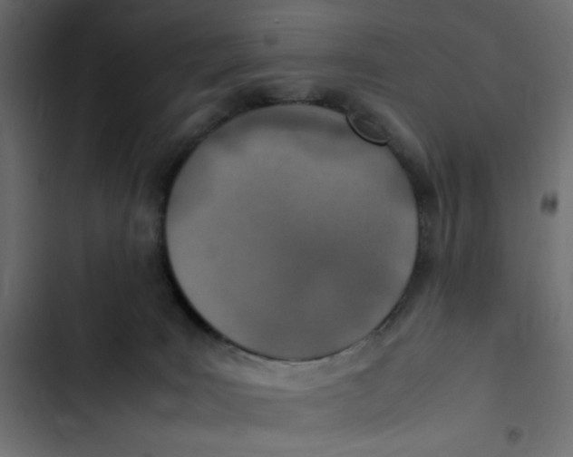 X0000103330035200809261211