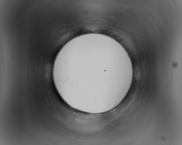 X0000103330036200809261211