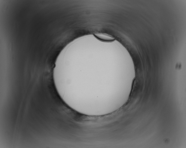 X0000103330037200809261211