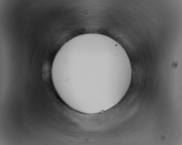 X0000103330038200809261211