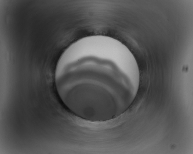 X0000103330039200809261211