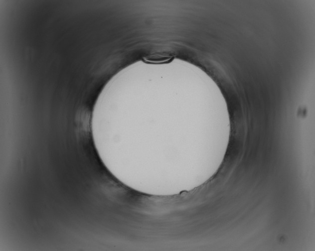 X0000103330041200809261211