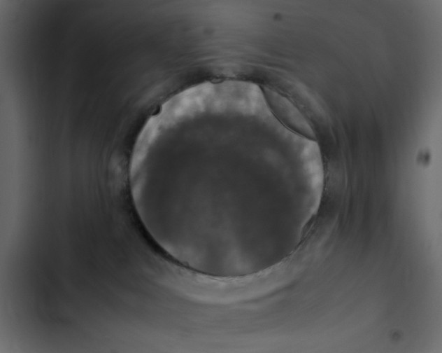 X0000103330043200809261211