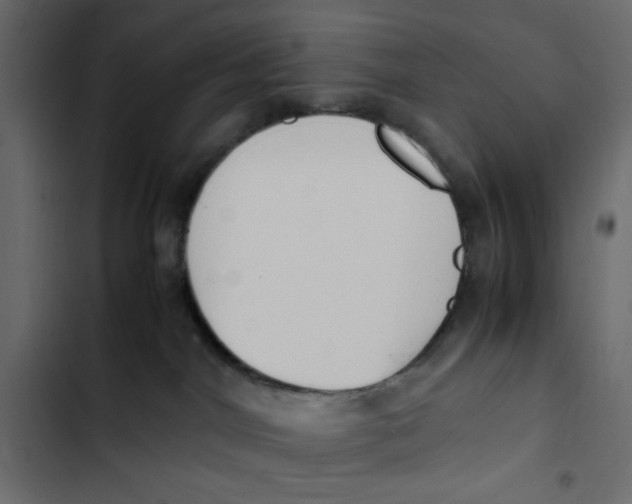 X0000103330044200809261211