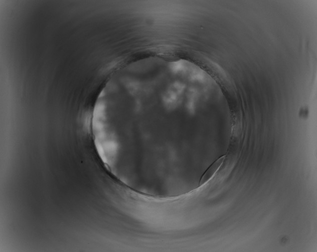 X0000103330047200809261211