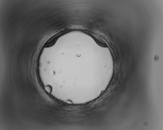 X0000103330049200809261210