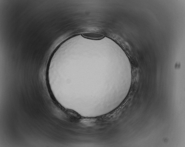 X0000103330051200809261210