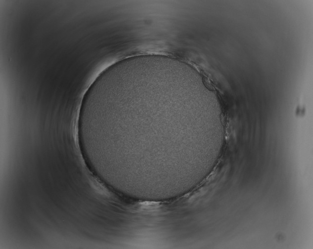 X0000103330052200809261210