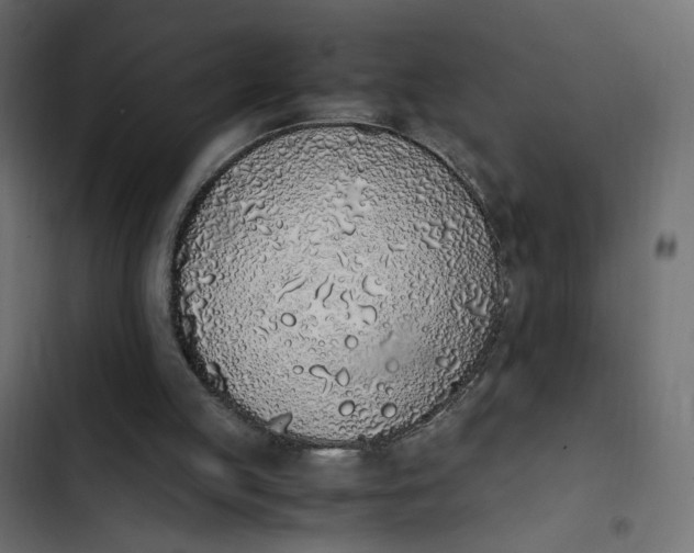 X0000103330053200809261210