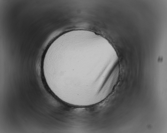 X0000103330054200809261210