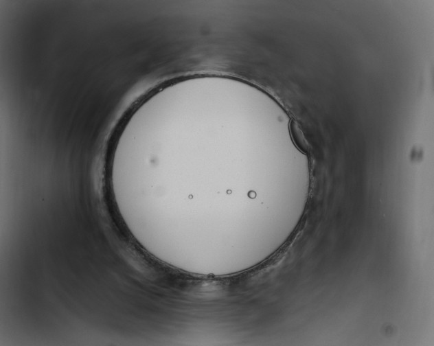 X0000103330056200809261210