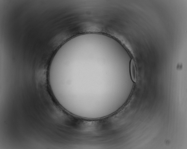 X0000103330057200809261210