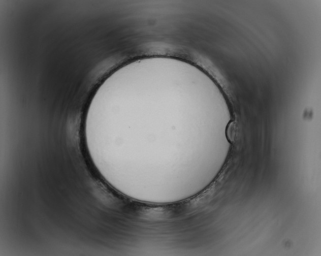 X0000103330058200809261210