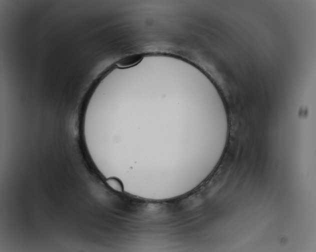 X0000103330060200809261210