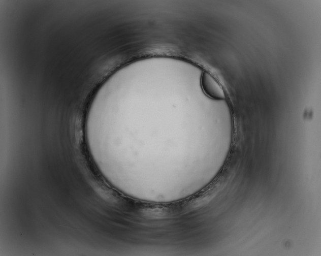 X0000103330061200809261210