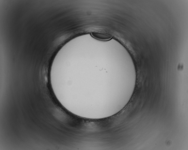 X0000103330062200809261210