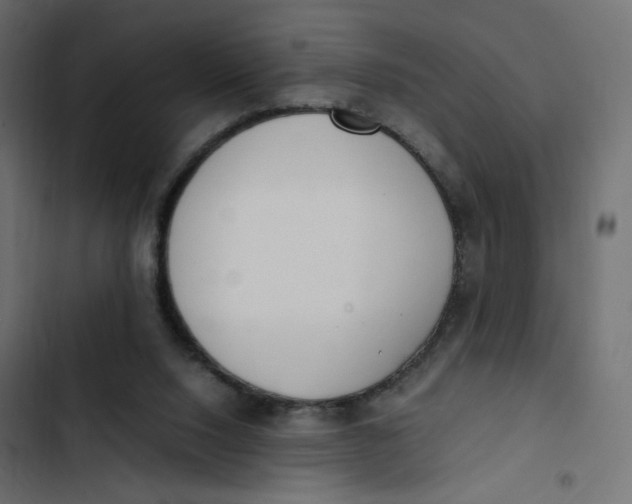 X0000103330064200809261210