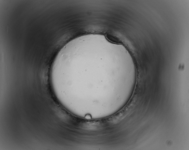 X0000103330065200809261210