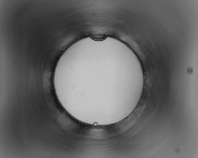 X0000103330066200809261210