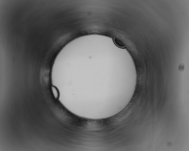 X0000103330070200809261210