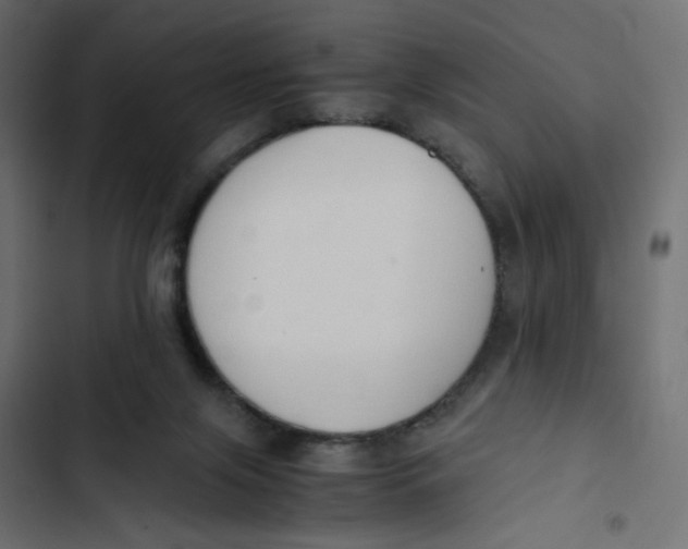 X0000103330071200809261210