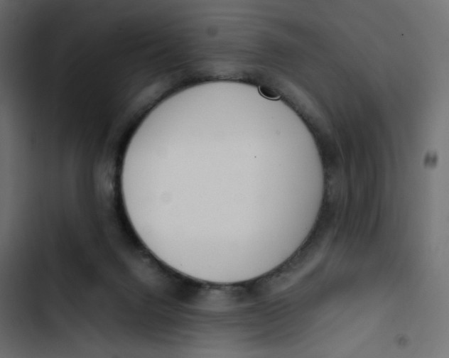 X0000103330072200809261210