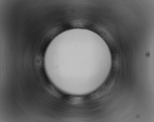 X0000103330081200809261210