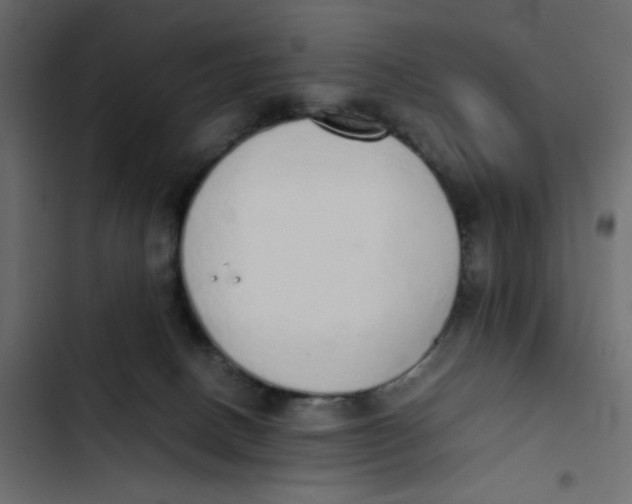 X0000103330082200809261210