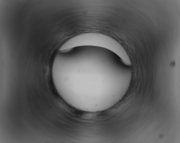 X0000103330084200809261211