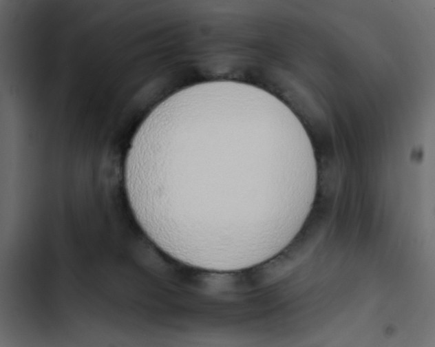 X0000103330085200809261211