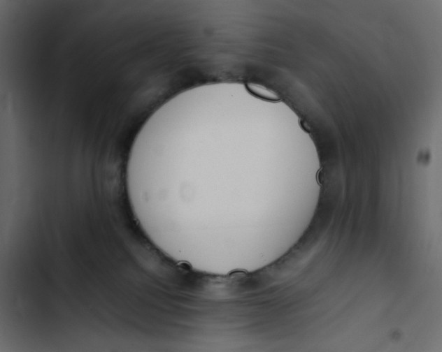 X0000103330088200809261211