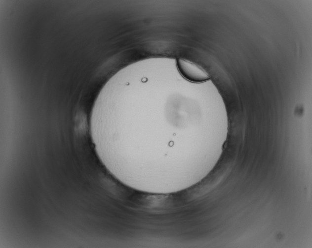 X0000103330089200809261211