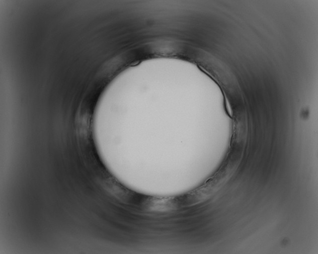 X0000103330093200809261211