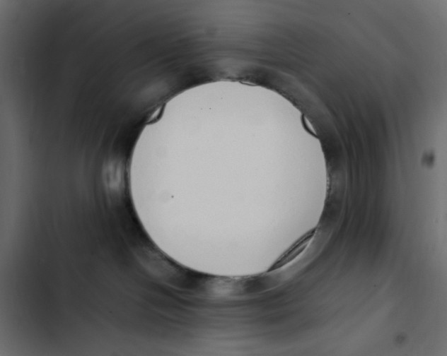 X0000103330094200809261211