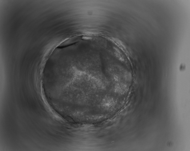 X0000103330097200809261210