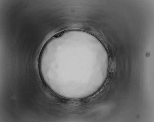 X0000103330099200809261210