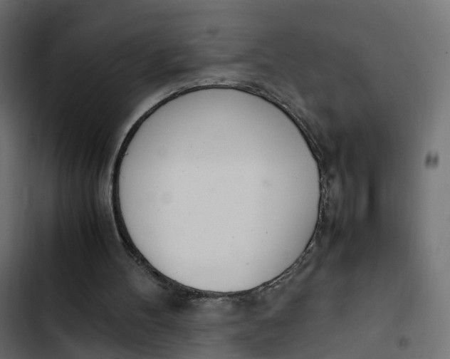 X0000103330100200809261210